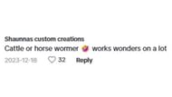 Netizens react as a father talks about pinworms in a video (Image via TikTok / Shaunnas custom creations)